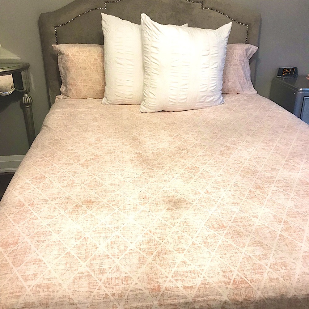 Queen Size Duvet Cover and 2 Pillow Shams ( from Urban Barn)